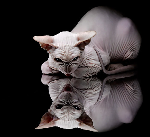 乐鱼体育官网网址-教练组赛后召开复盘会议提出中场控球率有待进一步提升，中场休息教练都说什么